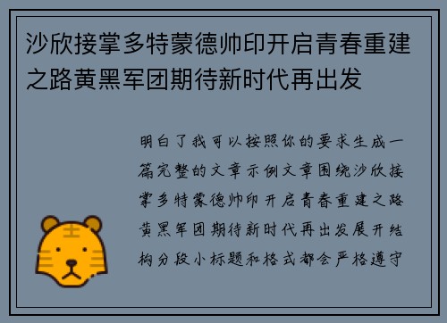沙欣接掌多特蒙德帅印开启青春重建之路黄黑军团期待新时代再出发